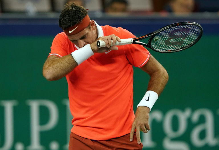 Del Potro chute et abandonne à Shanghaï